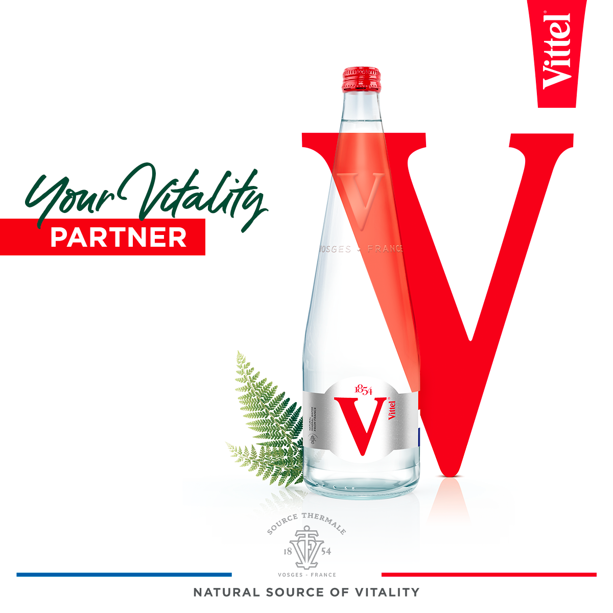 Vittel Pinnaclegastro Vittel Pinnaclegastro